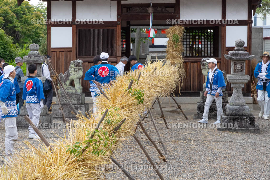 奈良県　今里の蛇巻き　完成した蛇体