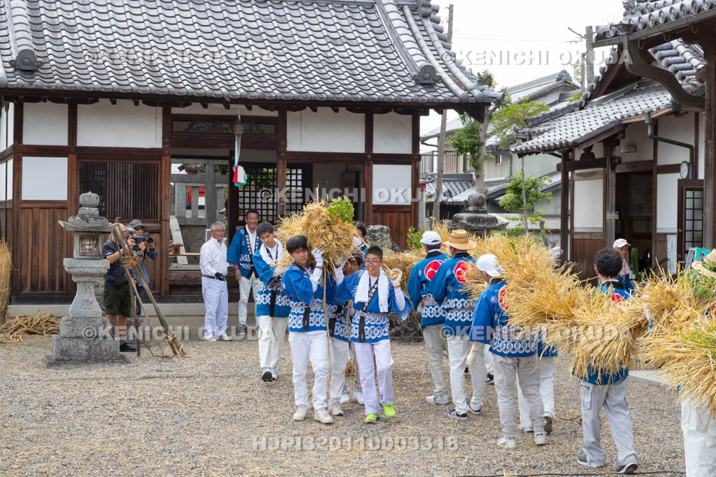 奈良県　今里の蛇巻き　練り歩き