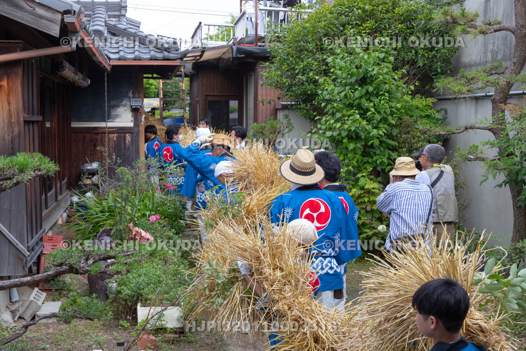 奈良県　今里の蛇巻き　練り歩き