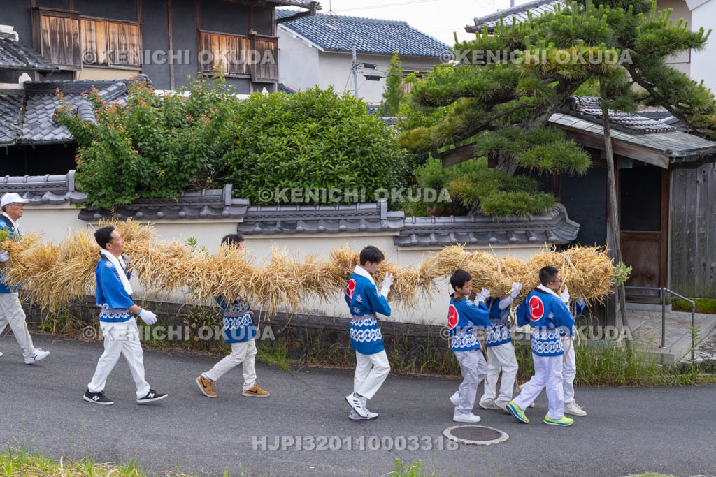 奈良県　今里の蛇巻き　練り歩き