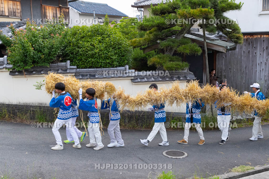 奈良県　今里の蛇巻き　練り歩き