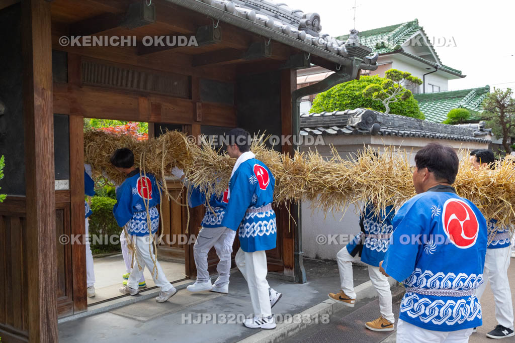 奈良県　今里の蛇巻き　練り歩き