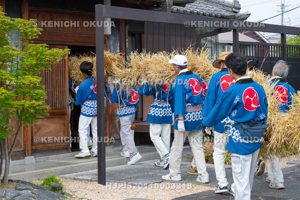奈良県　今里の蛇巻き　練り歩き