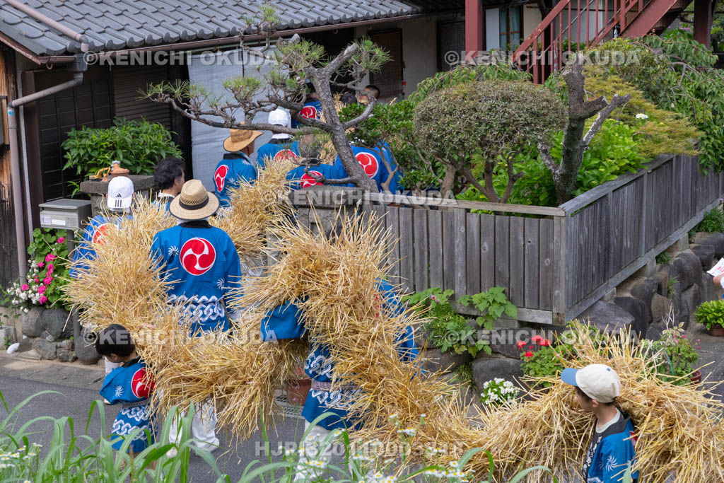 奈良県　今里の蛇巻き　練り歩き