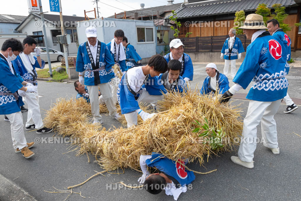 奈良県　今里の蛇巻き　暴れる「蛇」