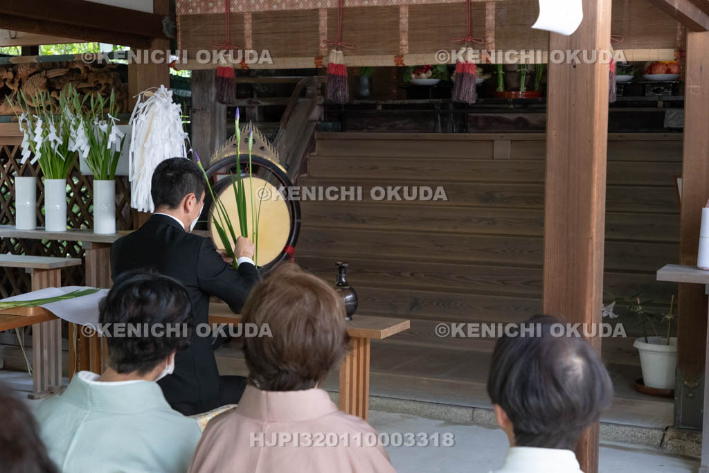 奈良県　漢國神社　鎮華（はなしずめ）・菖蒲祭　花菖蒲の献花