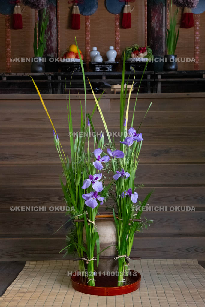 奈良県　漢國神社　鎮華（はなしずめ）・菖蒲祭　神前のソン