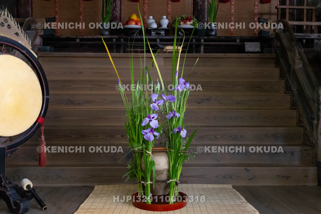 奈良県　漢國神社　鎮華（はなしずめ）・菖蒲祭　神前のソン