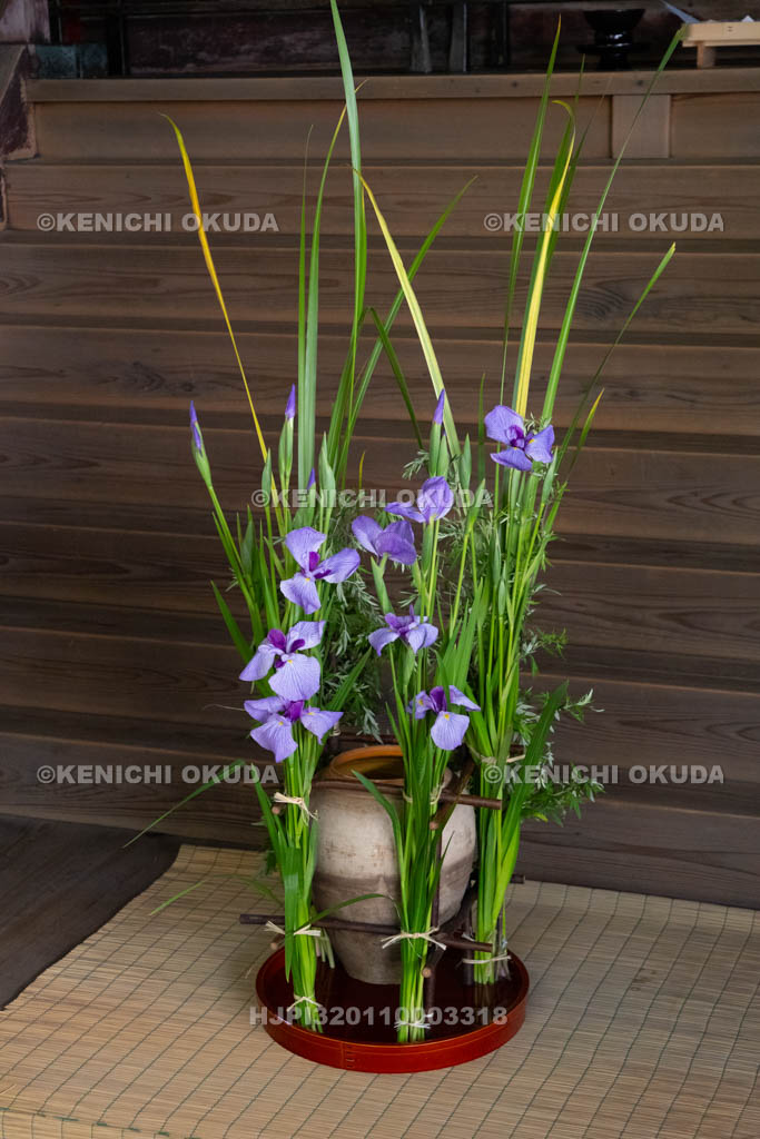 奈良県　漢國神社　鎮華（はなしずめ）・菖蒲祭　神前のソン