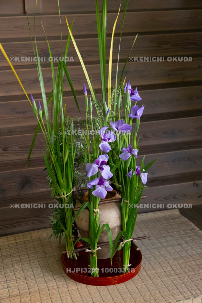 奈良県　漢國神社　鎮華（はなしずめ）・菖蒲祭　神前のソン