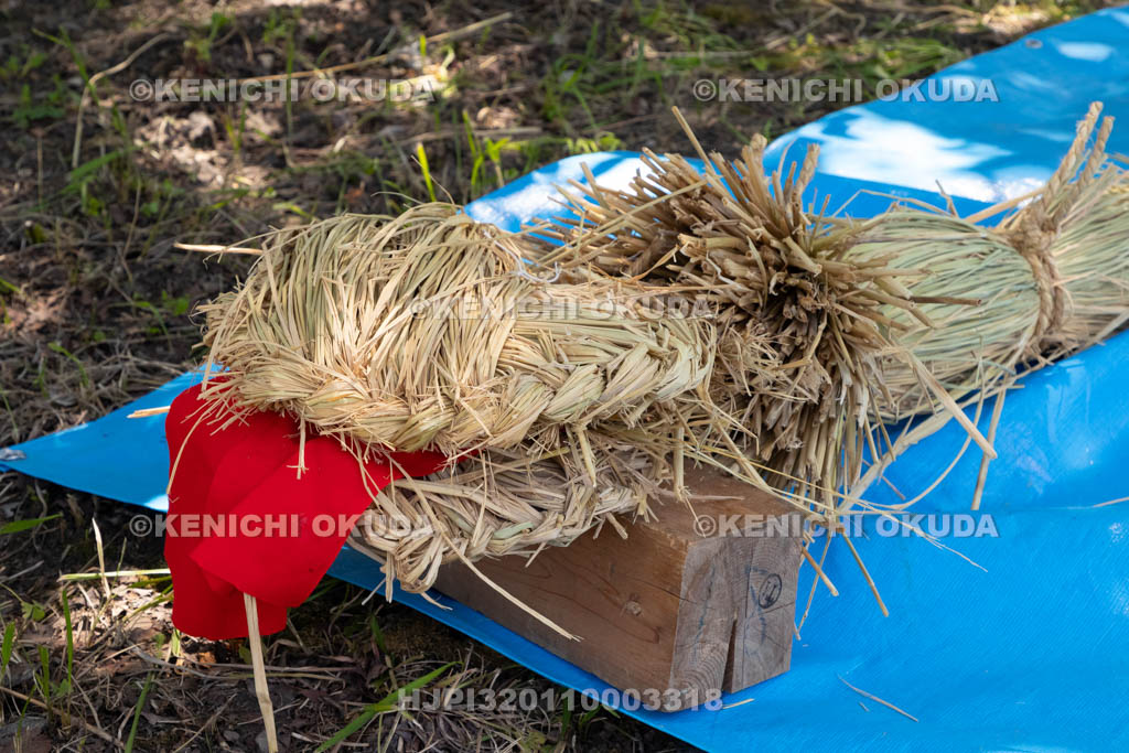 奈良県　上品寺町のシャカシャカ祭　蛇（ジャ）