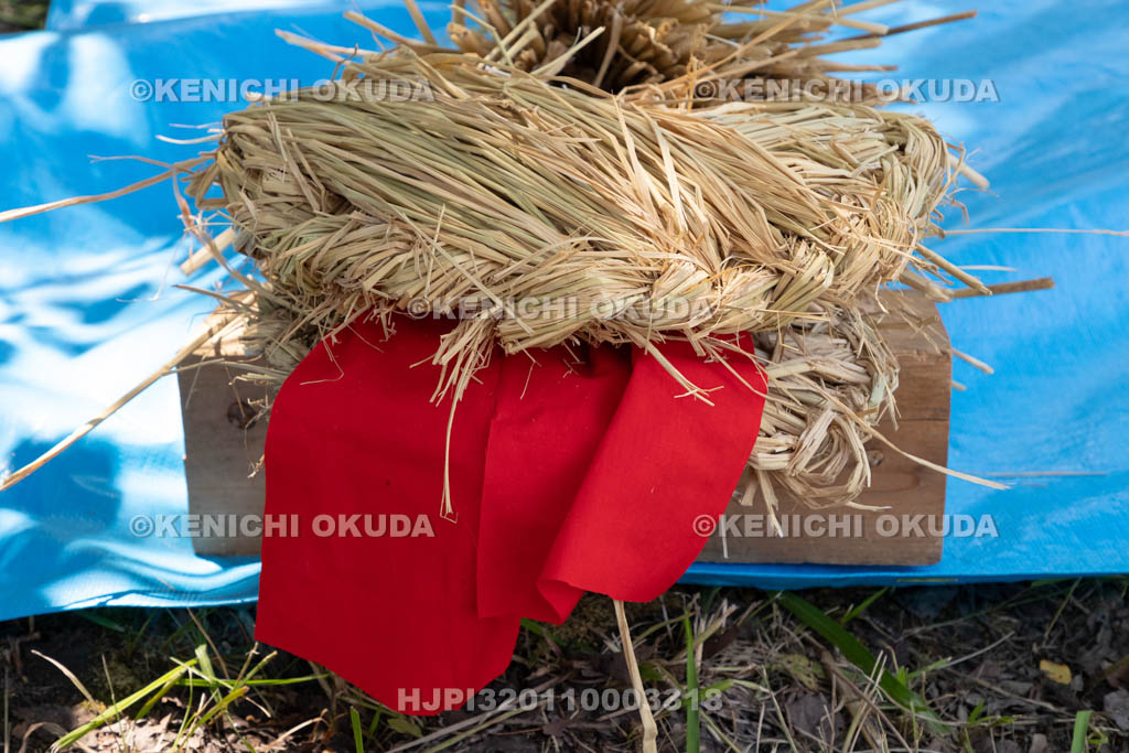 奈良県　上品寺町のシャカシャカ祭　蛇（ジャ）