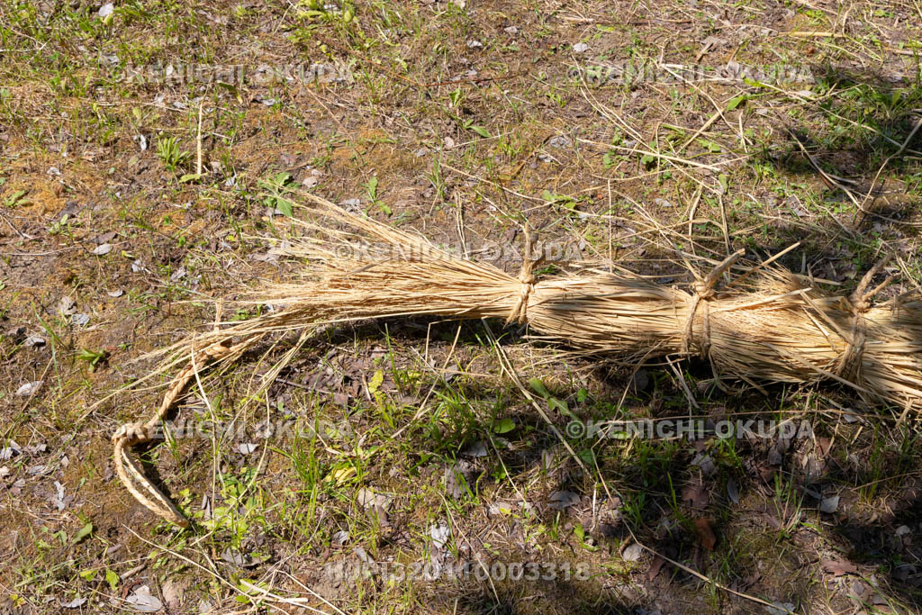 奈良県　上品寺町のシャカシャカ祭　蛇（ジャ）