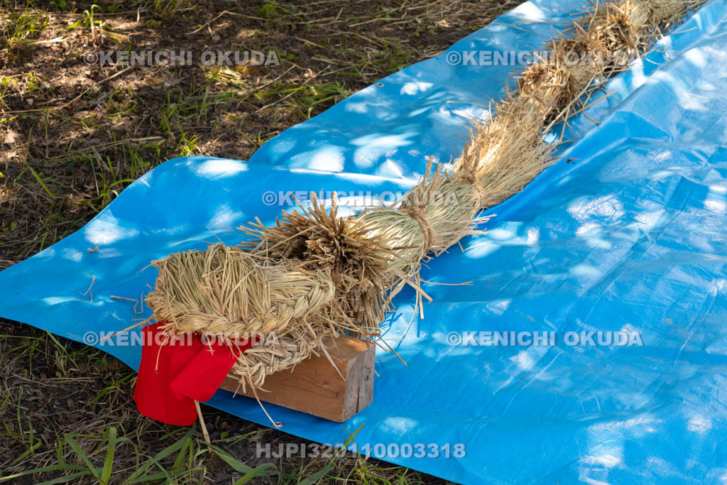 奈良県　上品寺町のシャカシャカ祭　蛇（ジャ）