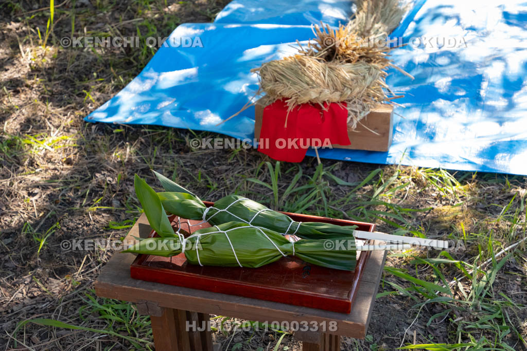 奈良県　上品寺町のシャカシャカ祭　蛇（ジャ）とチマキ（お供え）