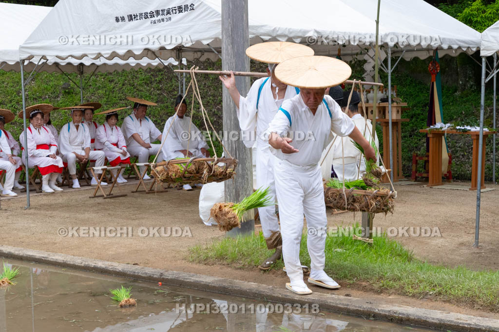 奈良県　大神神社　御田植祭