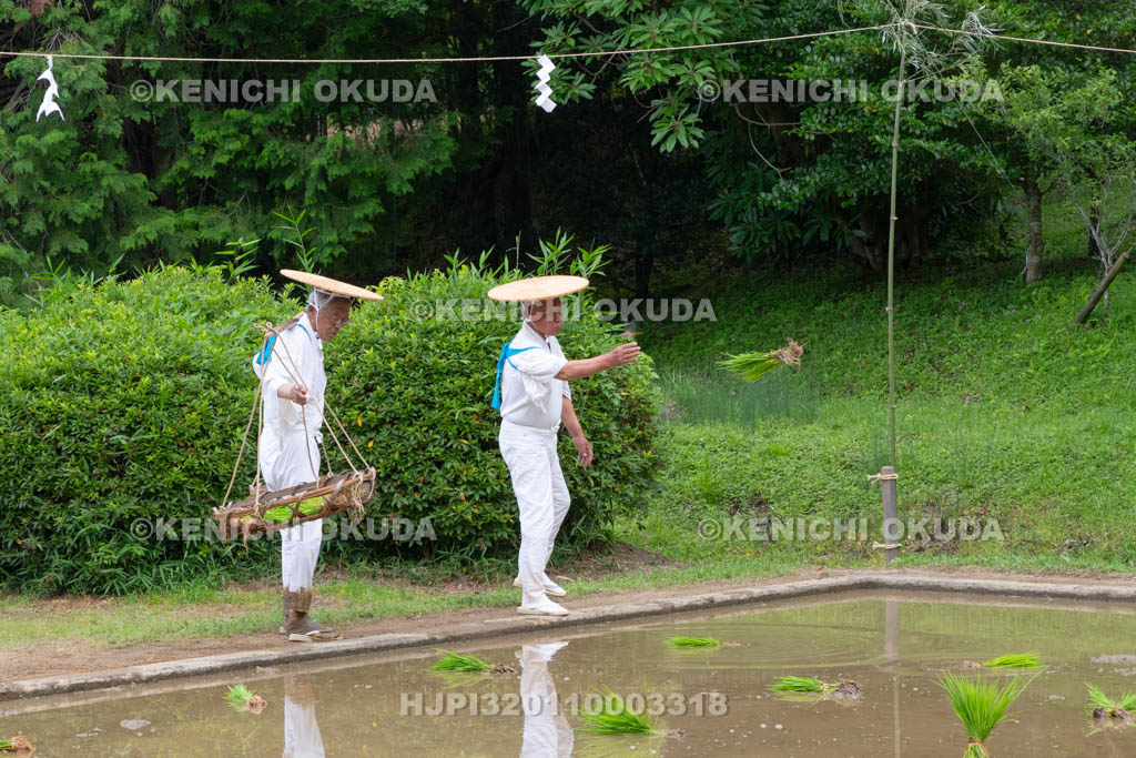 奈良県　大神神社　御田植祭