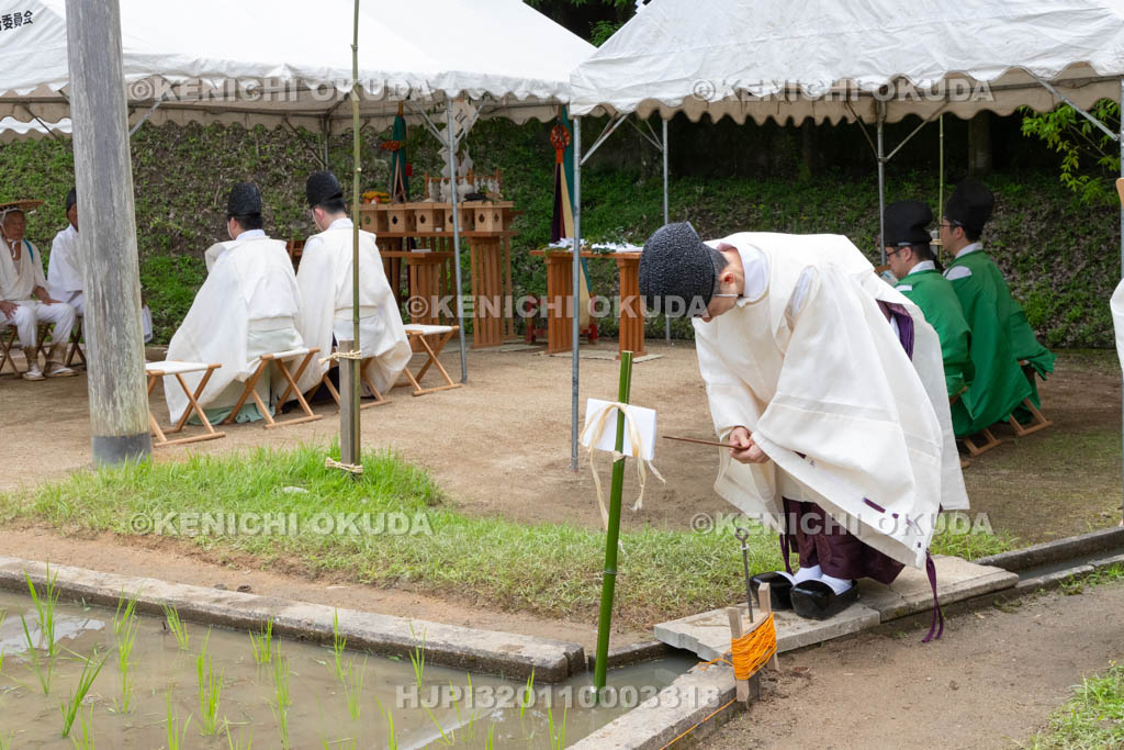 奈良県　大神神社　御田植祭
