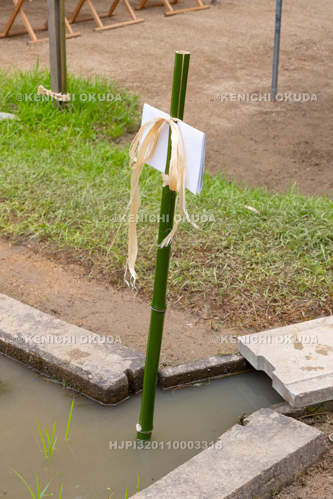 奈良県　大神神社　御田植祭　水口の斎串（いぐし）