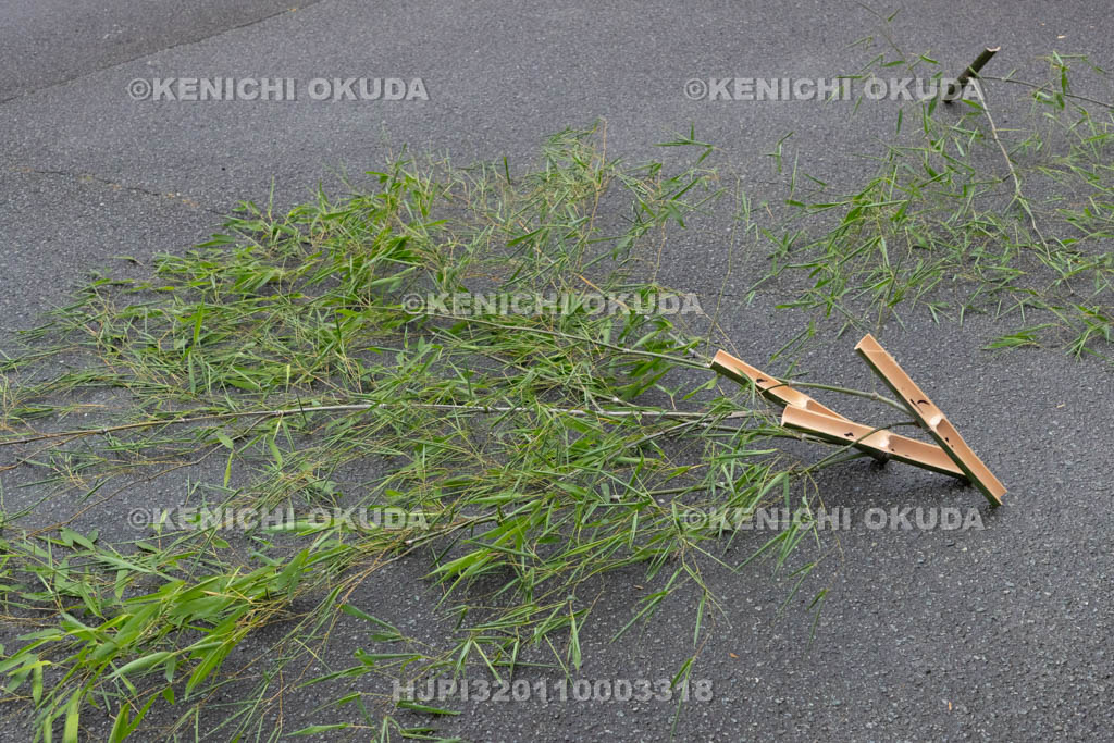 三重県　浅間祭前夜祭（方座浦）　幣竹作り