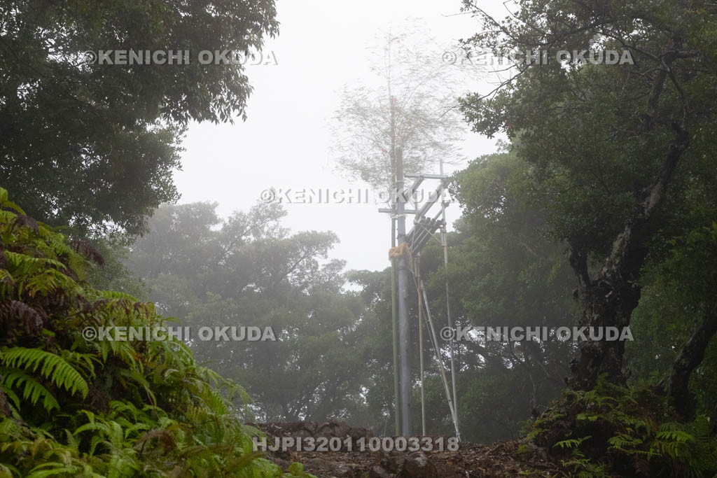 三重県　浅間祭本祭（方座浦）　大幣