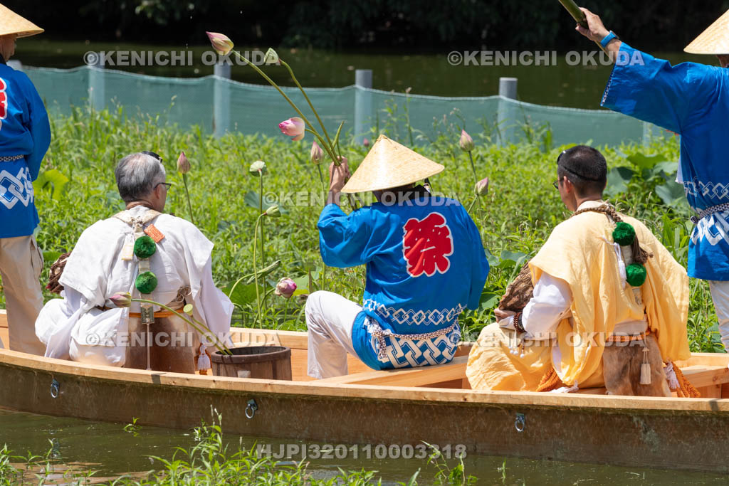 奈良県　金峯山寺　蓮華会　奥田の蓮取り