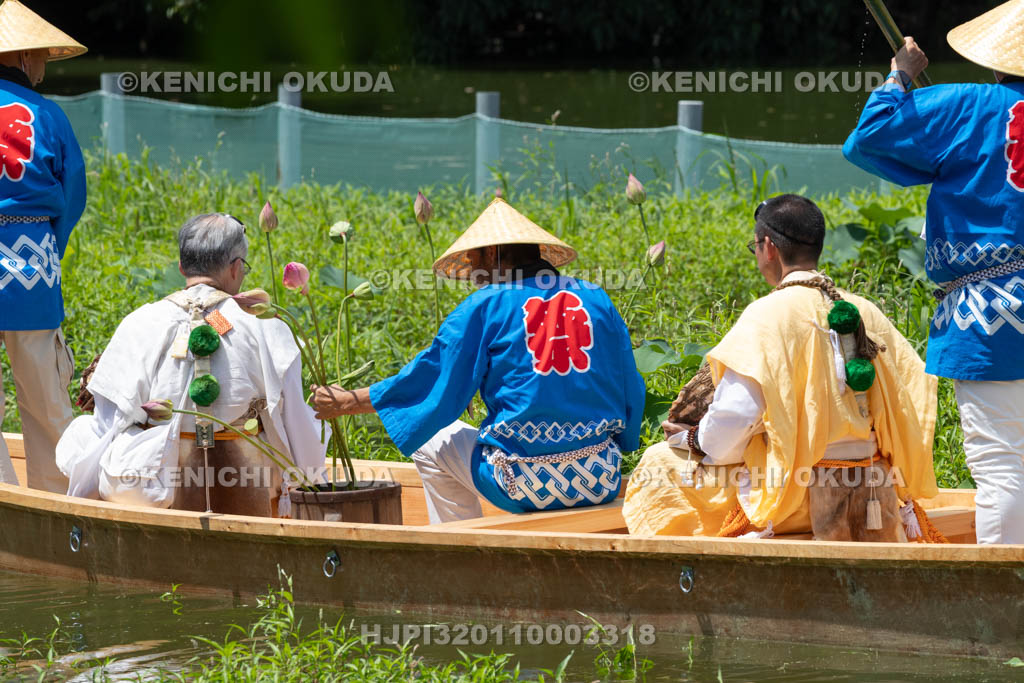 奈良県　金峯山寺　蓮華会　奥田の蓮取り