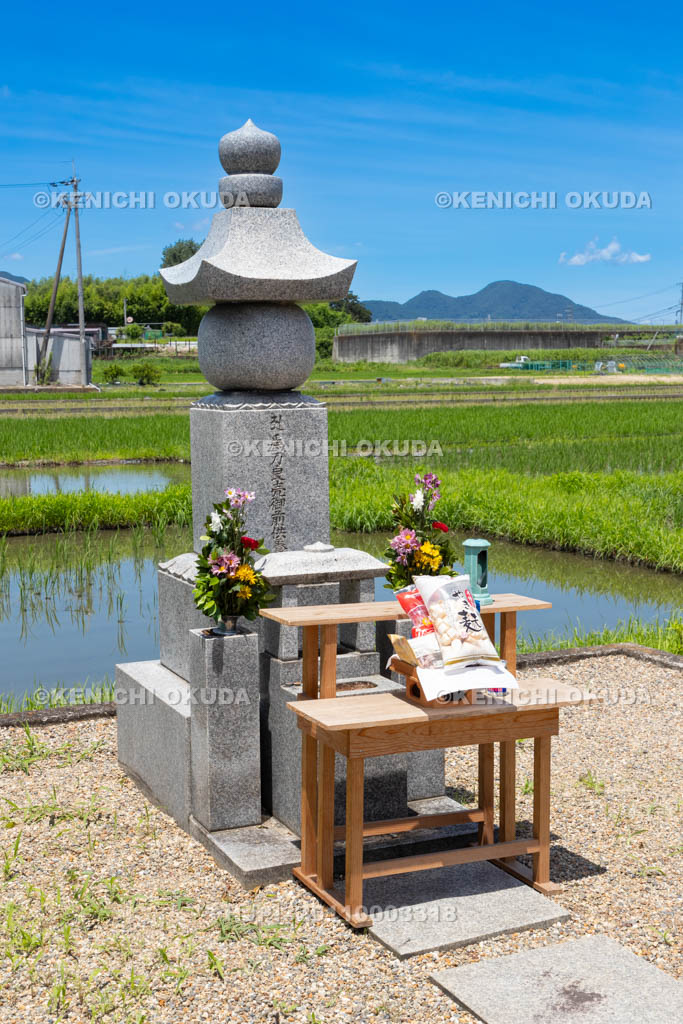 奈良県　金峯山寺　蓮華会　奥田の蓮取り　刀良売（とらめ）の墓