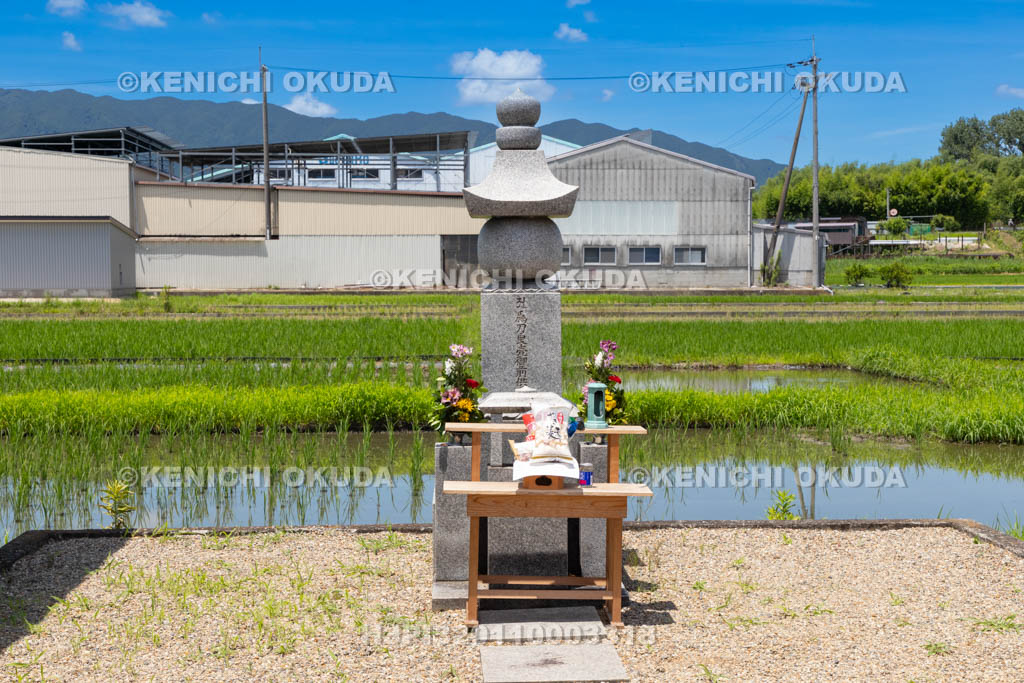 奈良県　金峯山寺　蓮華会　奥田の蓮取り　刀良売（とらめ）の墓