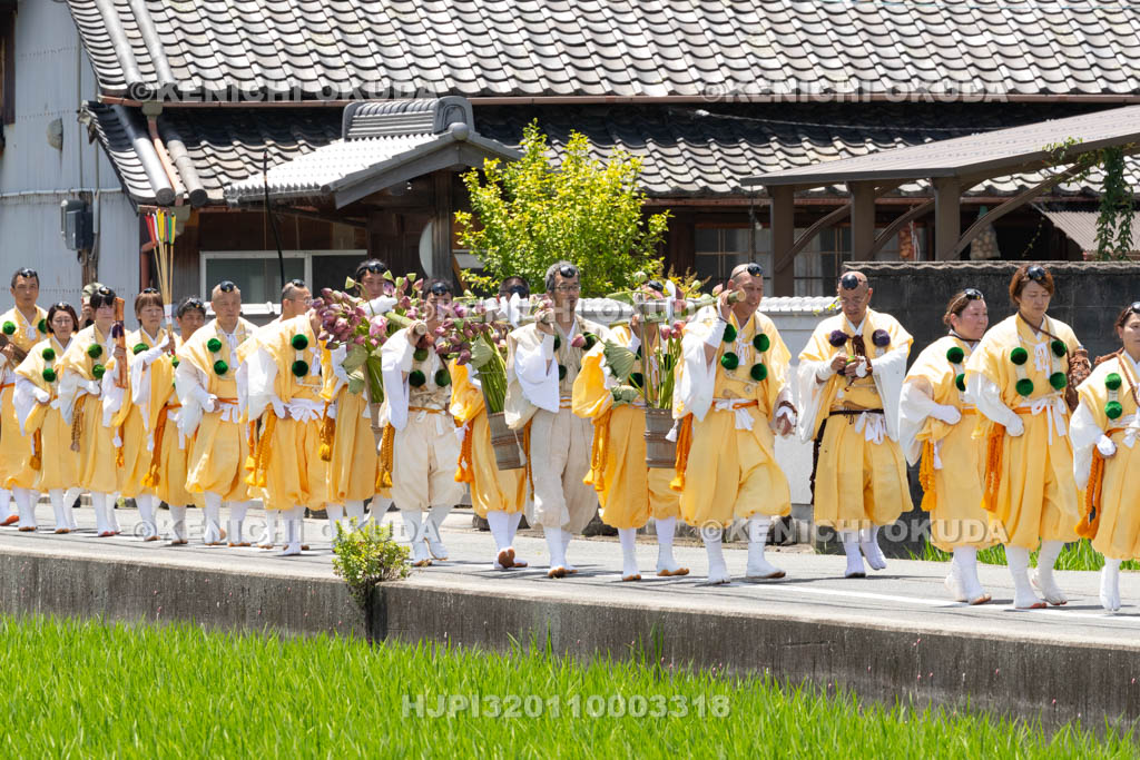 奈良県　金峯山寺　蓮華会　奥田の蓮取り