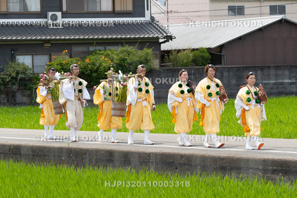 奈良県　金峯山寺　蓮華会　奥田の蓮取り