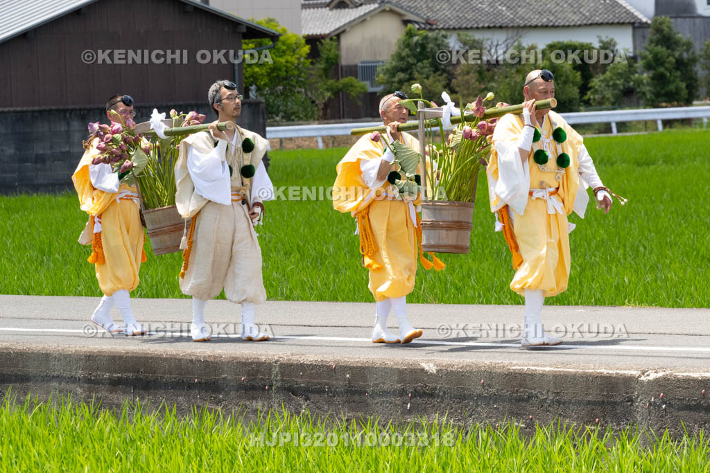 奈良県　金峯山寺　蓮華会　奥田の蓮取り