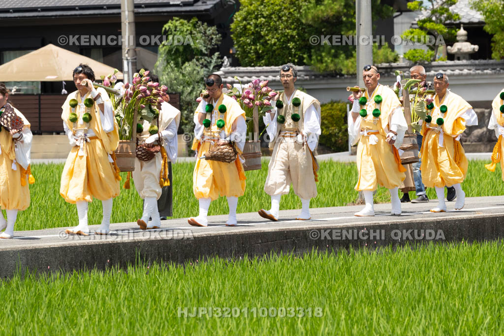 奈良県　金峯山寺　蓮華会　奥田の蓮取り