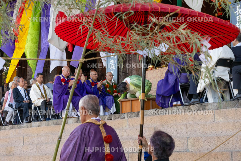 奈良県　金峯山寺　蓮華会・蛙飛び行事