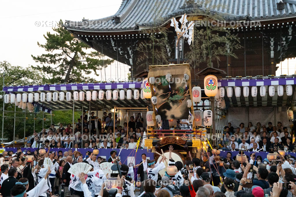 三重県　桑名石取祭　花車渡祭（本楽）　祭車（三崎通）