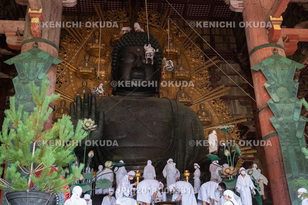 奈良県　東大寺　大仏さま　お身拭い