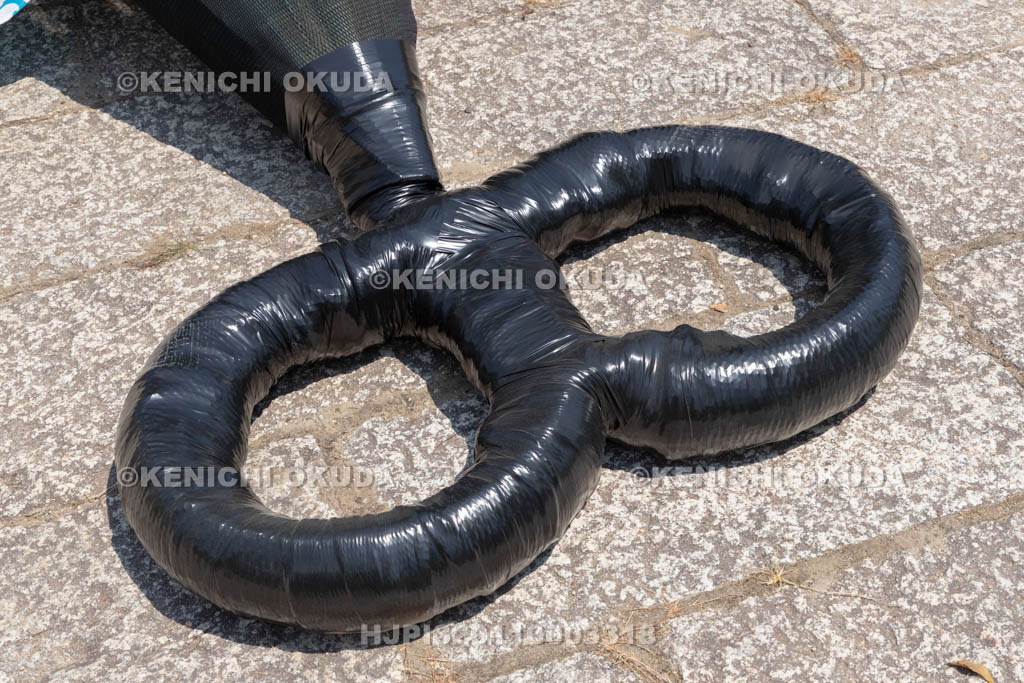 三重県　富田の鯨船行事　鯨の尾びれ