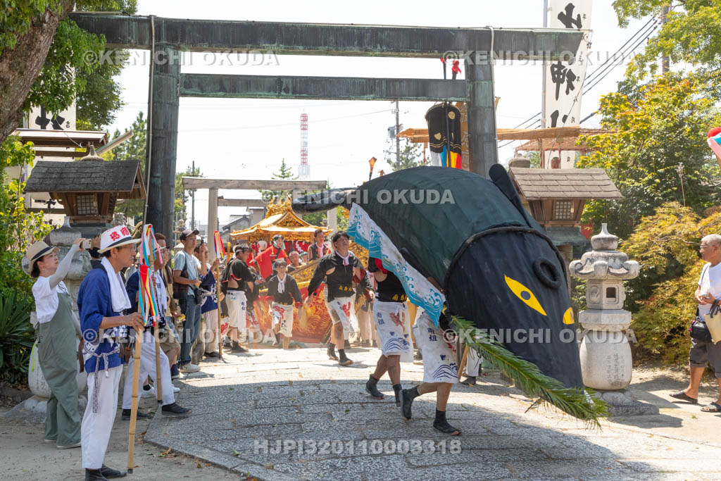 三重県　富田の鯨船行事　本練り　感應丸