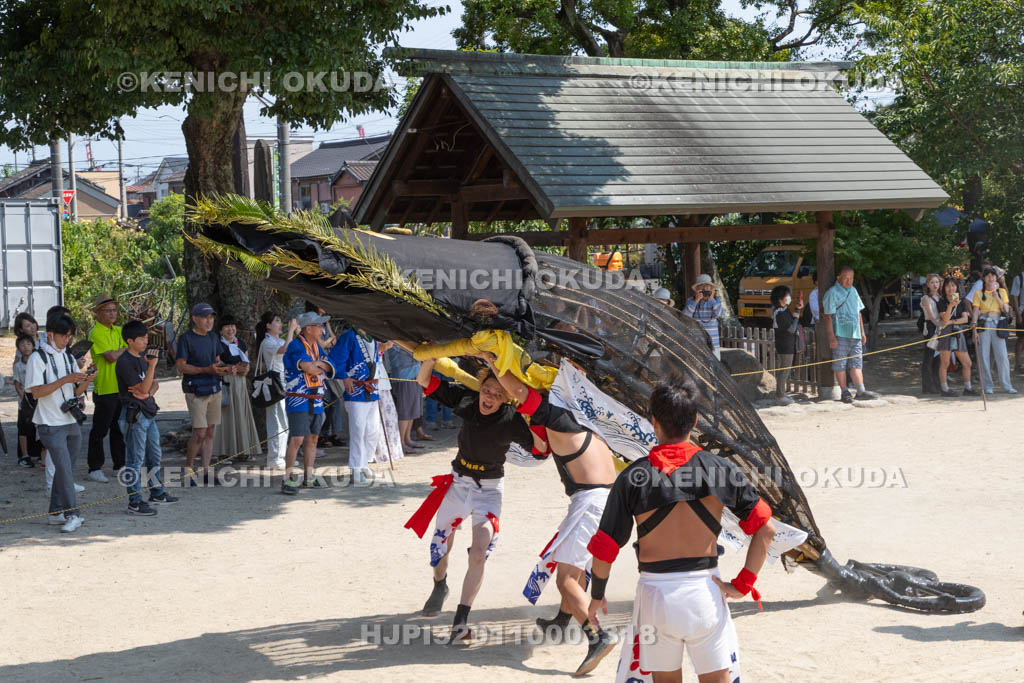 三重県　富田の鯨船行事　本練り　鯨被り（権現丸）