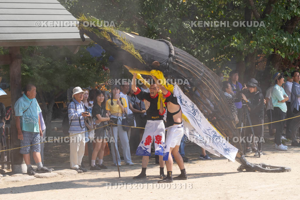 三重県　富田の鯨船行事　本練り　鯨被り（権現丸）