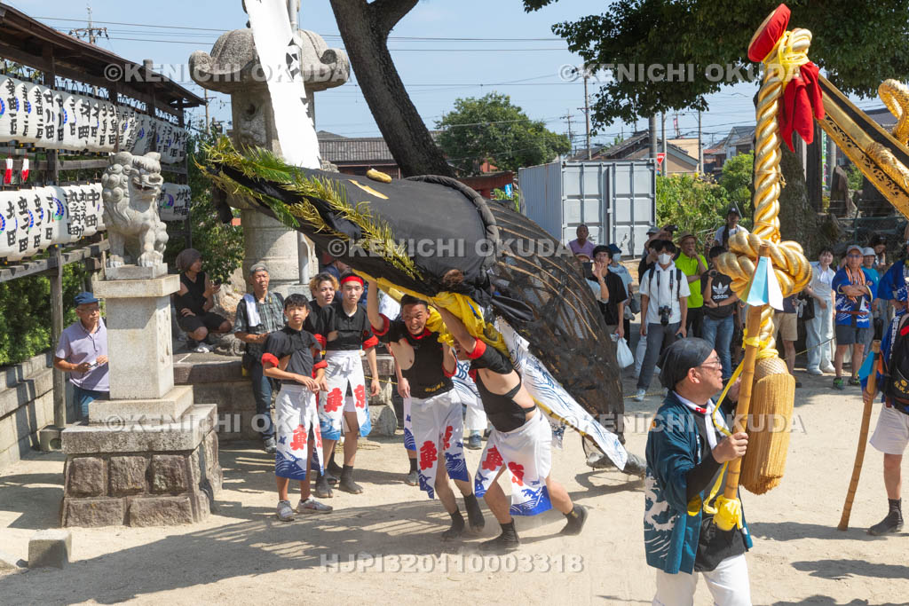 三重県　富田の鯨船行事　本練り　鯨被り（権現丸）