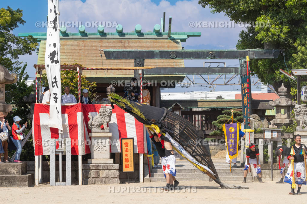 三重県　富田の鯨船行事　本練り　鯨被り（権現丸）