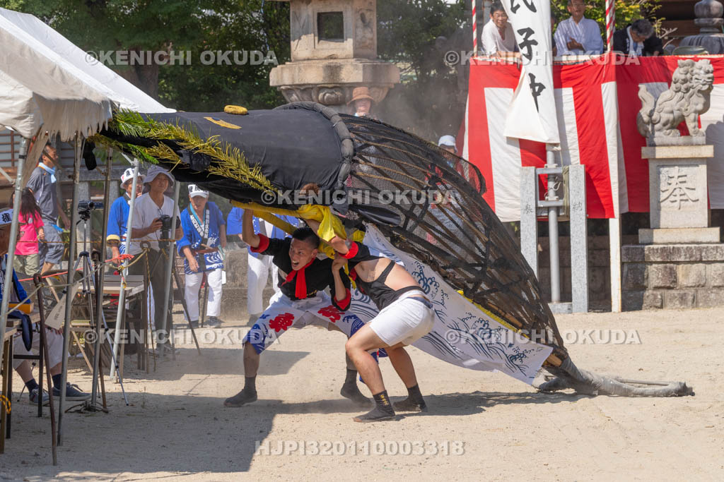 三重県　富田の鯨船行事　本練り　鯨被り（権現丸）