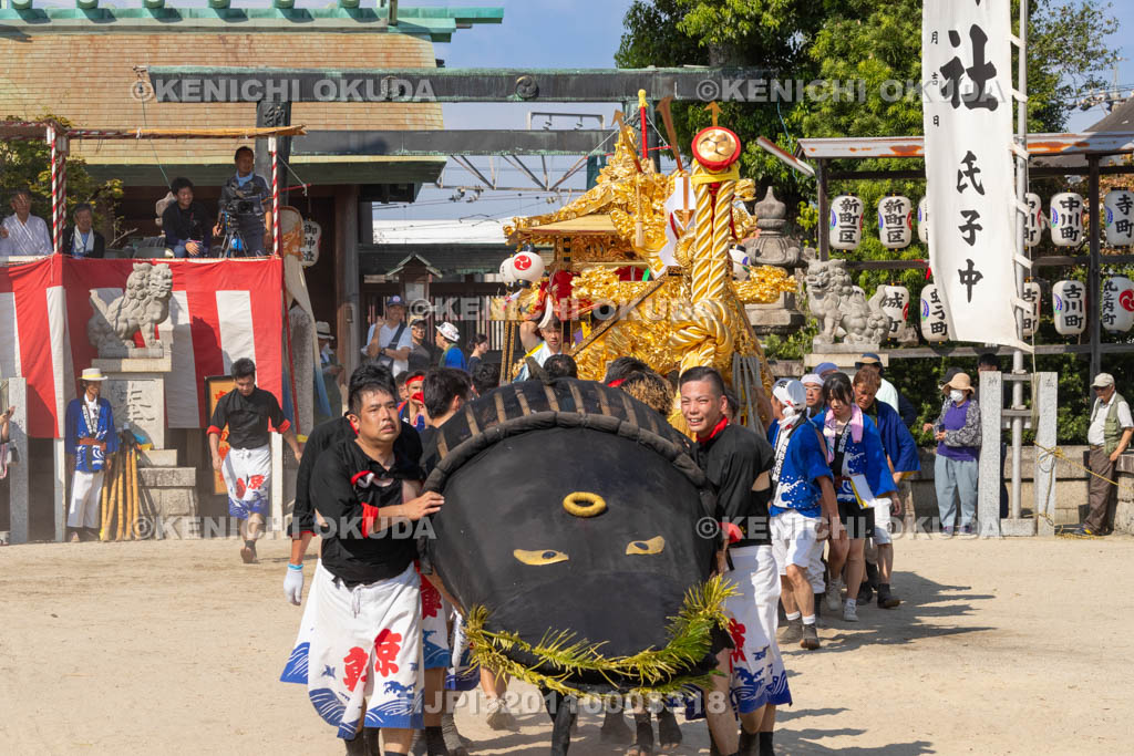 三重県　富田の鯨船行事　本練り　権現丸