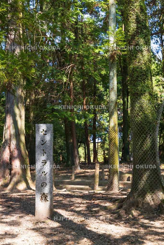 奈良県　春日大社　セントラルの森