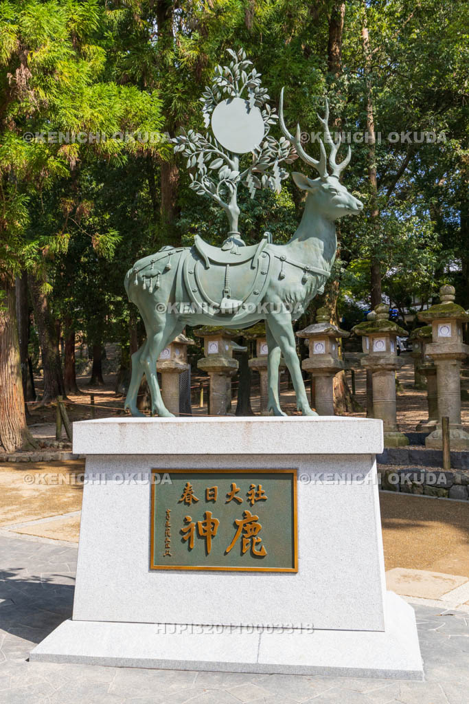 奈良県　春日大社　神鹿の像