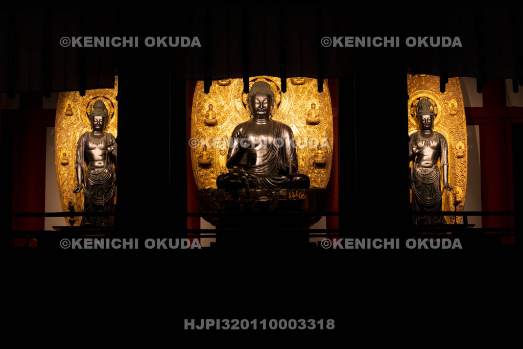 奈良県　薬師寺　金堂　薬師三尊像（国宝）