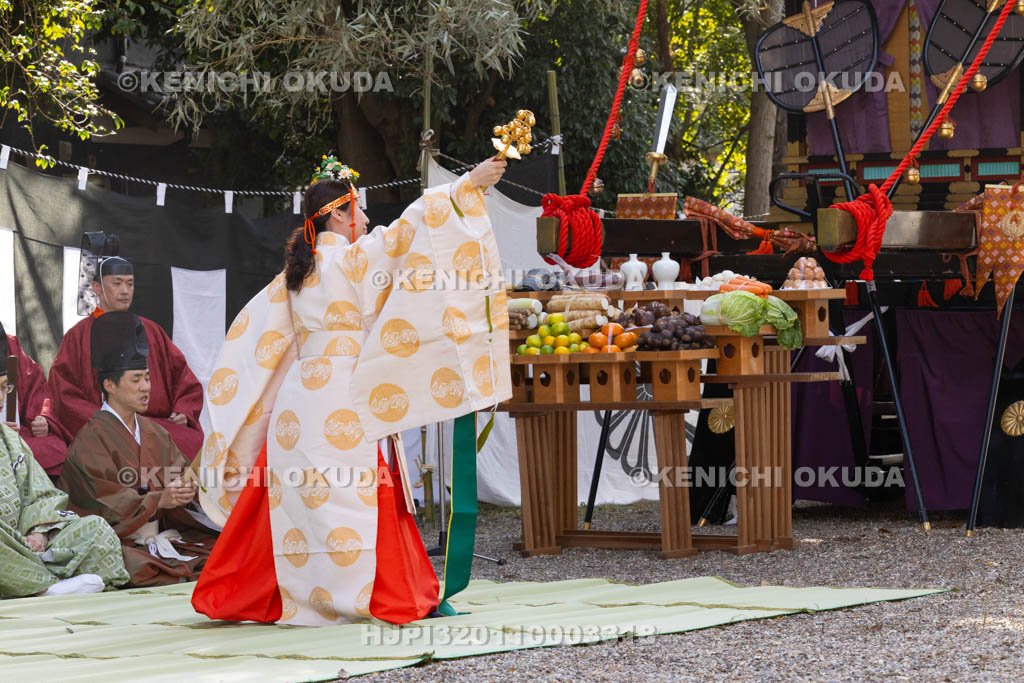 奈良県　石上神宮　ふるまつり　御旅所祭　神楽奉奏