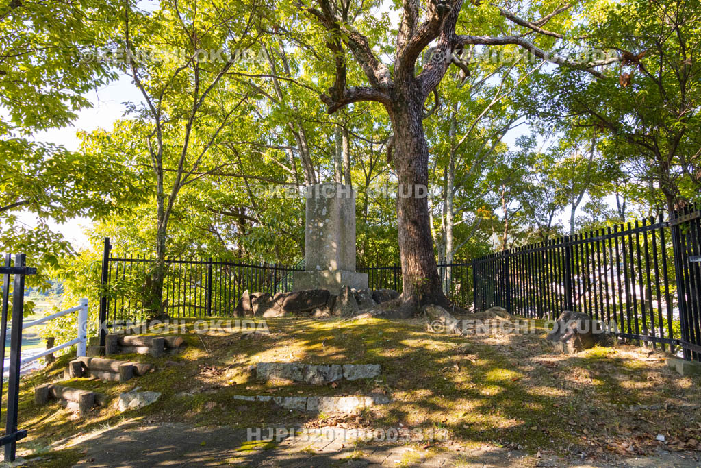 奈良県　美努岡萬墓
