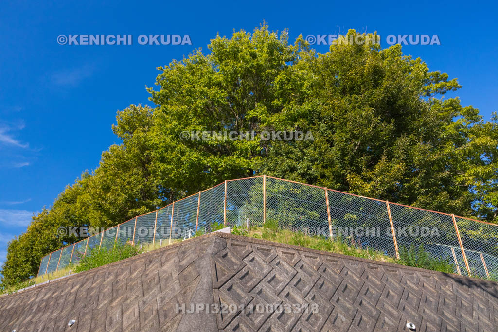 奈良県　美努岡萬墓　遠望